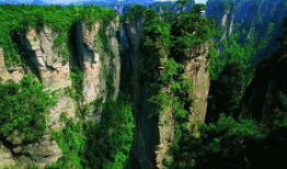 张家界吃瓜爆料视频,网红打卡地背后的真实故事