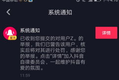 抖音短视频玩法技巧,轻松吸粉、引爆热度的秘籍解析