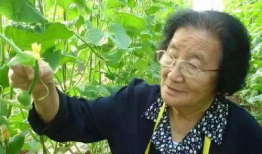 爆料吃瓜不打烊什么意思,网络热词背后的故事与现象