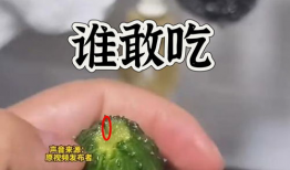 网友吃瓜爆料图片高清壁纸,高清壁纸揭秘吃瓜瞬间，娱乐圈风云再起