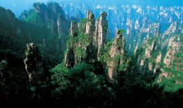 张家界吃瓜爆料视频,网红打卡地背后的真实故事