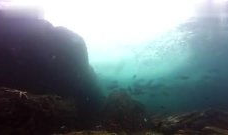 海浪短视频,捕捉海洋之美，感受波涛力量