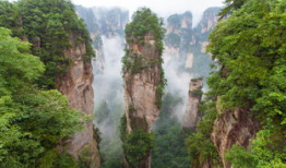 张家界吃瓜爆料视频,网红打卡地背后的真实故事